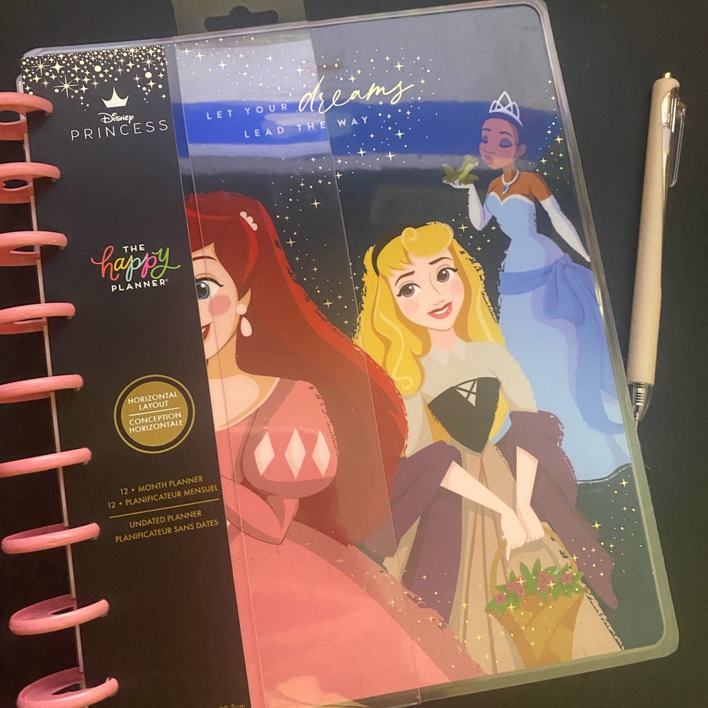 The Happy Planner Disney princes undated planner